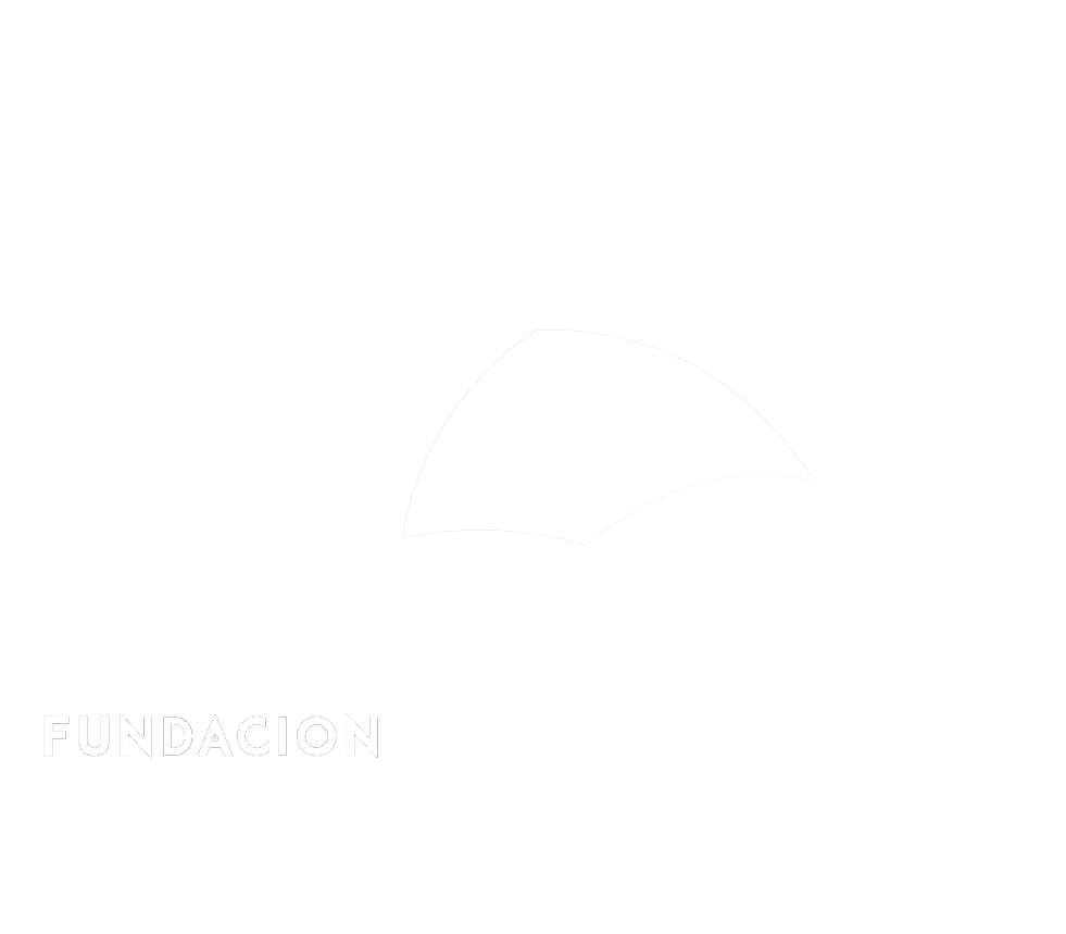 Cottolengo, Fundación Don Orione Chile